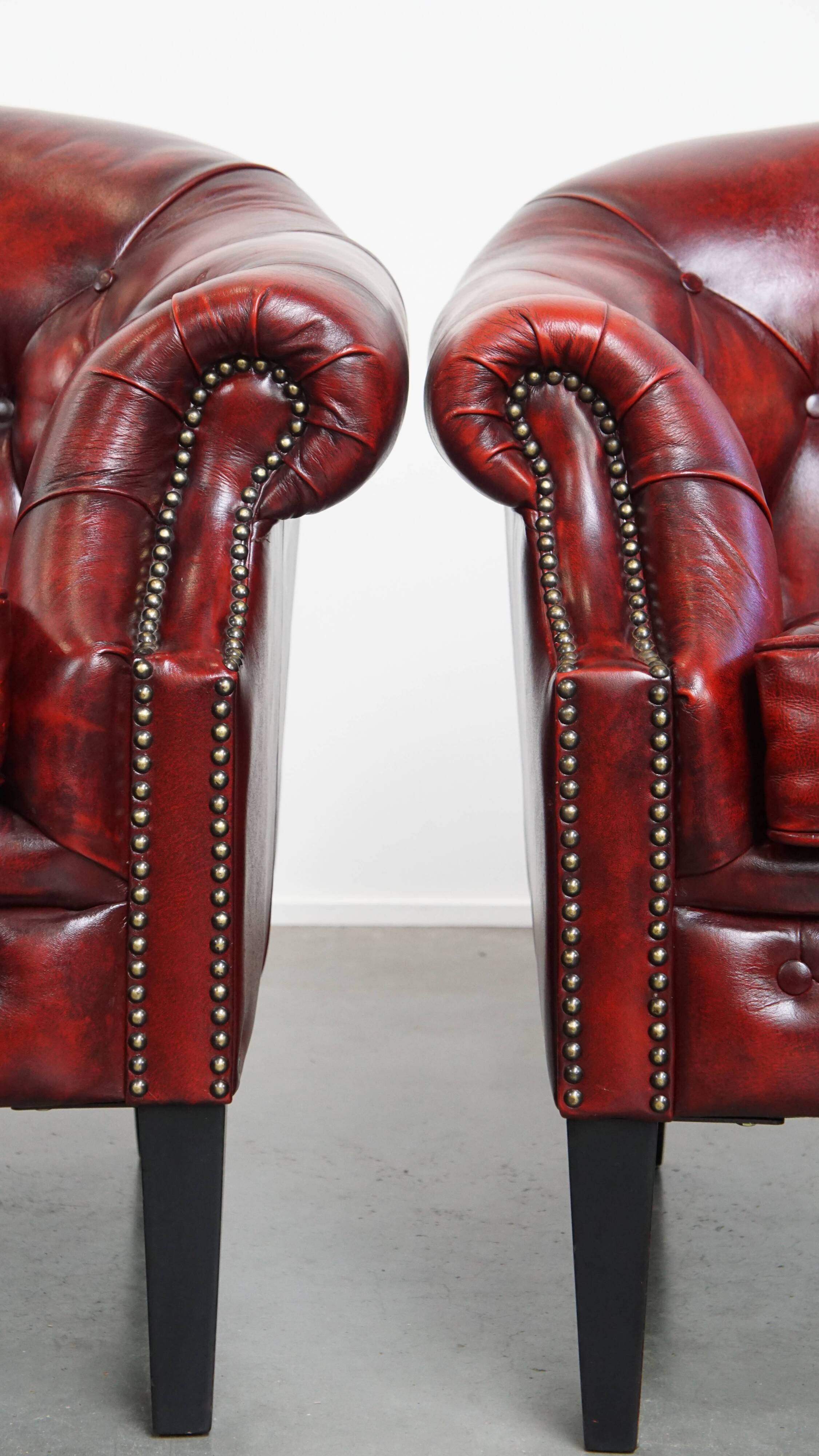 Ensemble de 6 fauteuils club Chesterfield en cuir de vache anglais