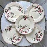 5 flat plates Digoin Sarreguemines model Aigues-Vives hand painted years 30-40