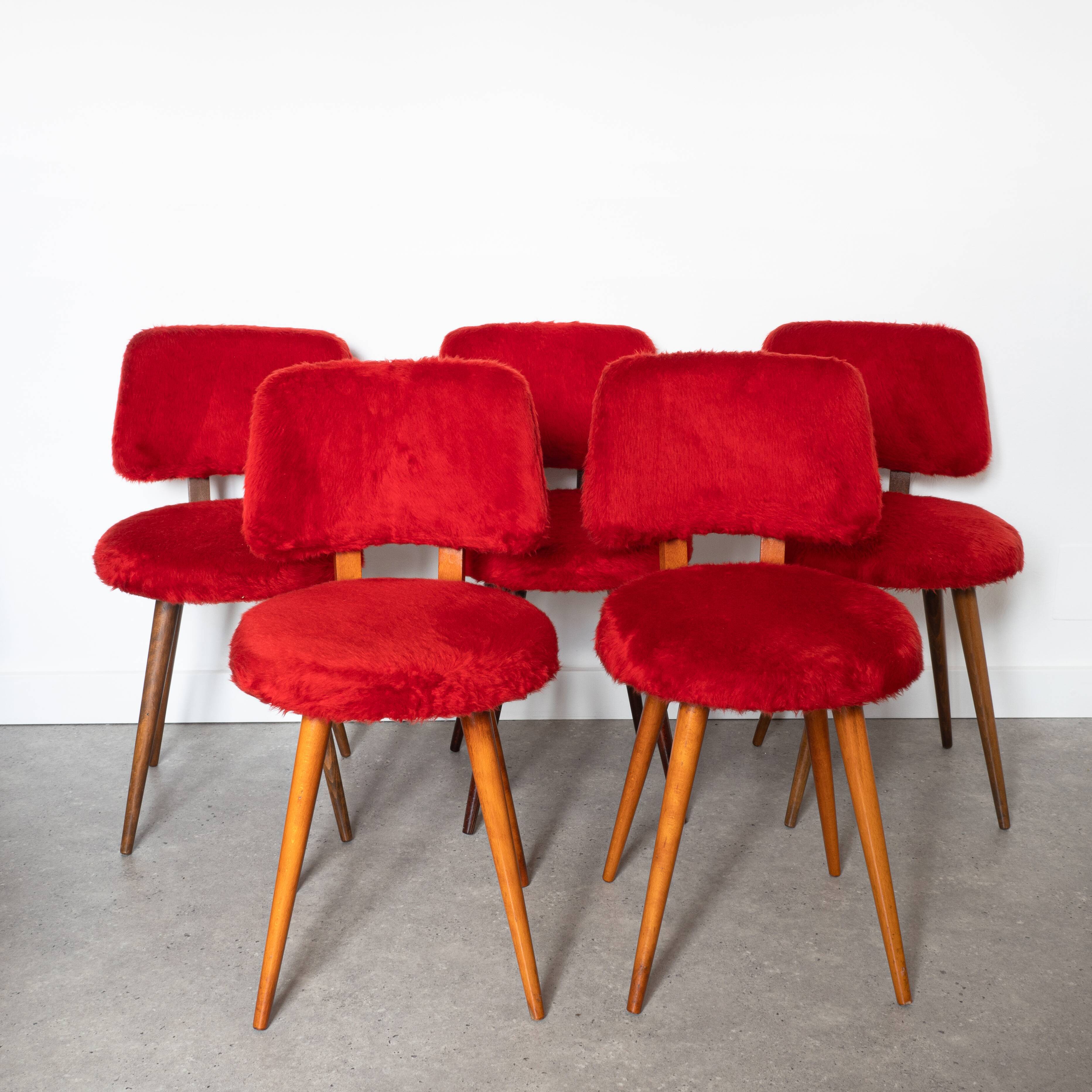Set of 5 wooden chairs with red Pelfran moumoute