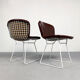 Lot de 2 chaises par Harry Bertoia pour Knoll, 1970