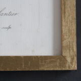 Framed engraving by P.J.Redouté Rosier Eglantier