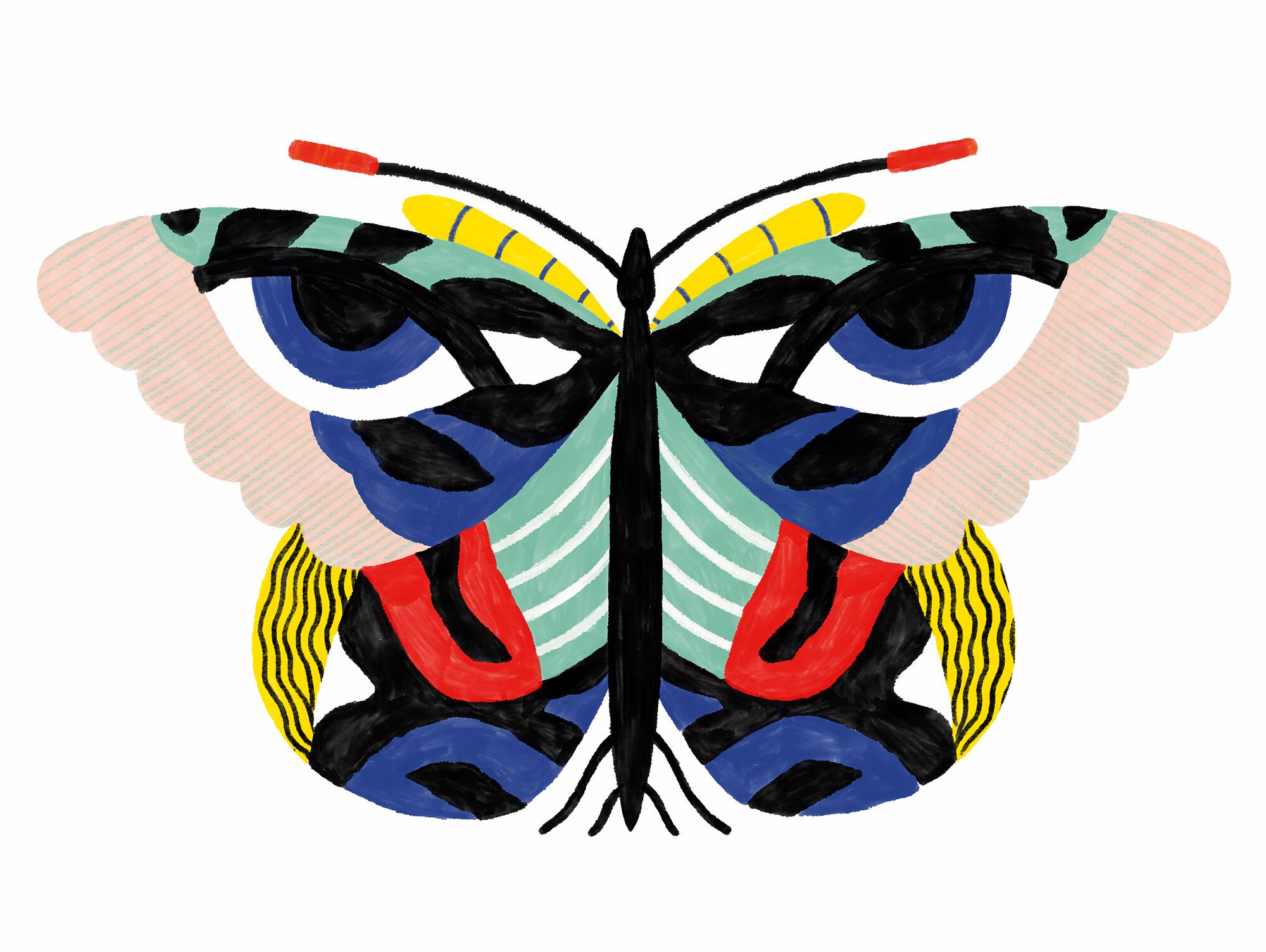 FLY - A4 illustration