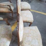 Salon 6 rooms Louis Philippe