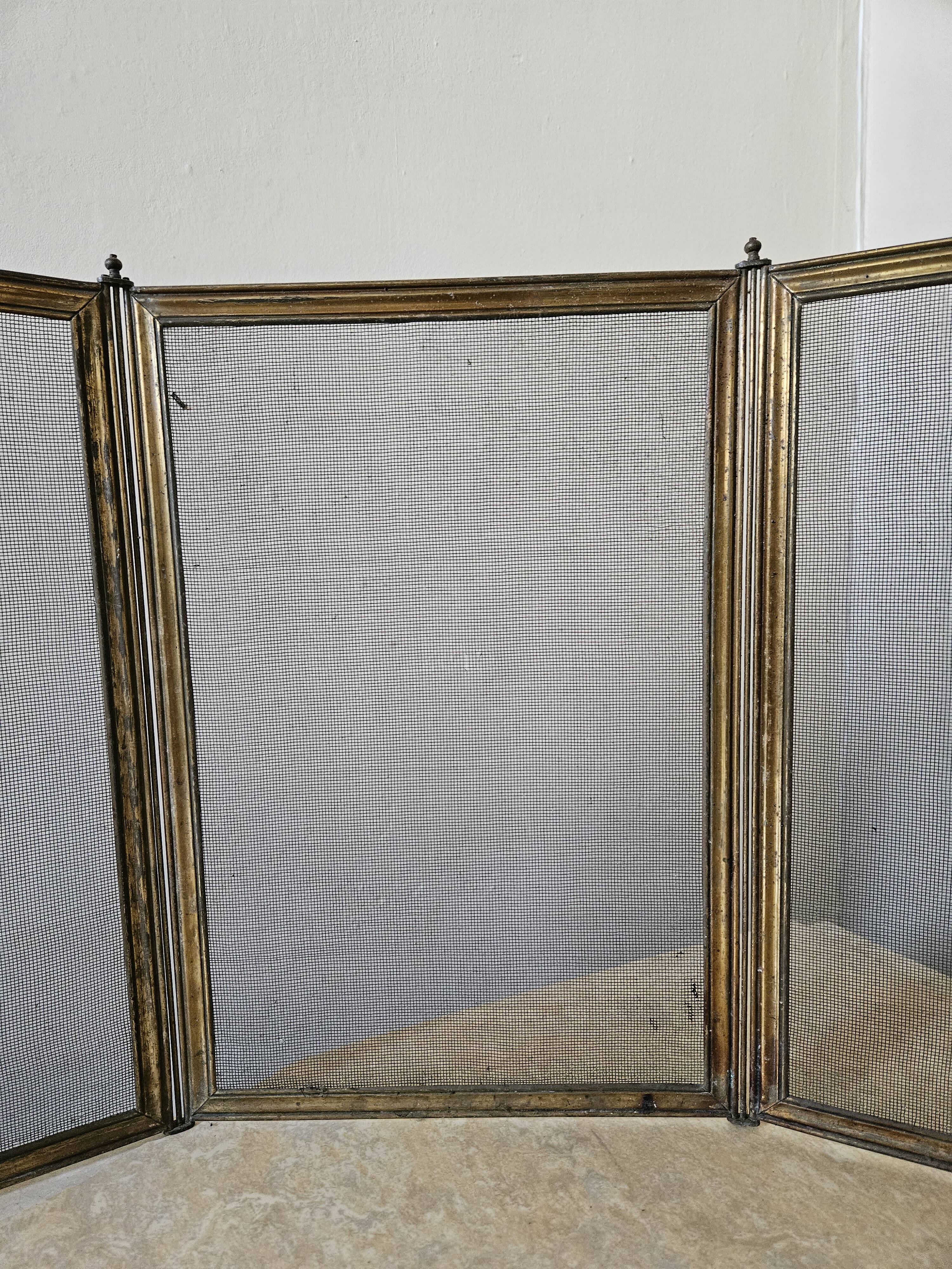 Chimney fire screen