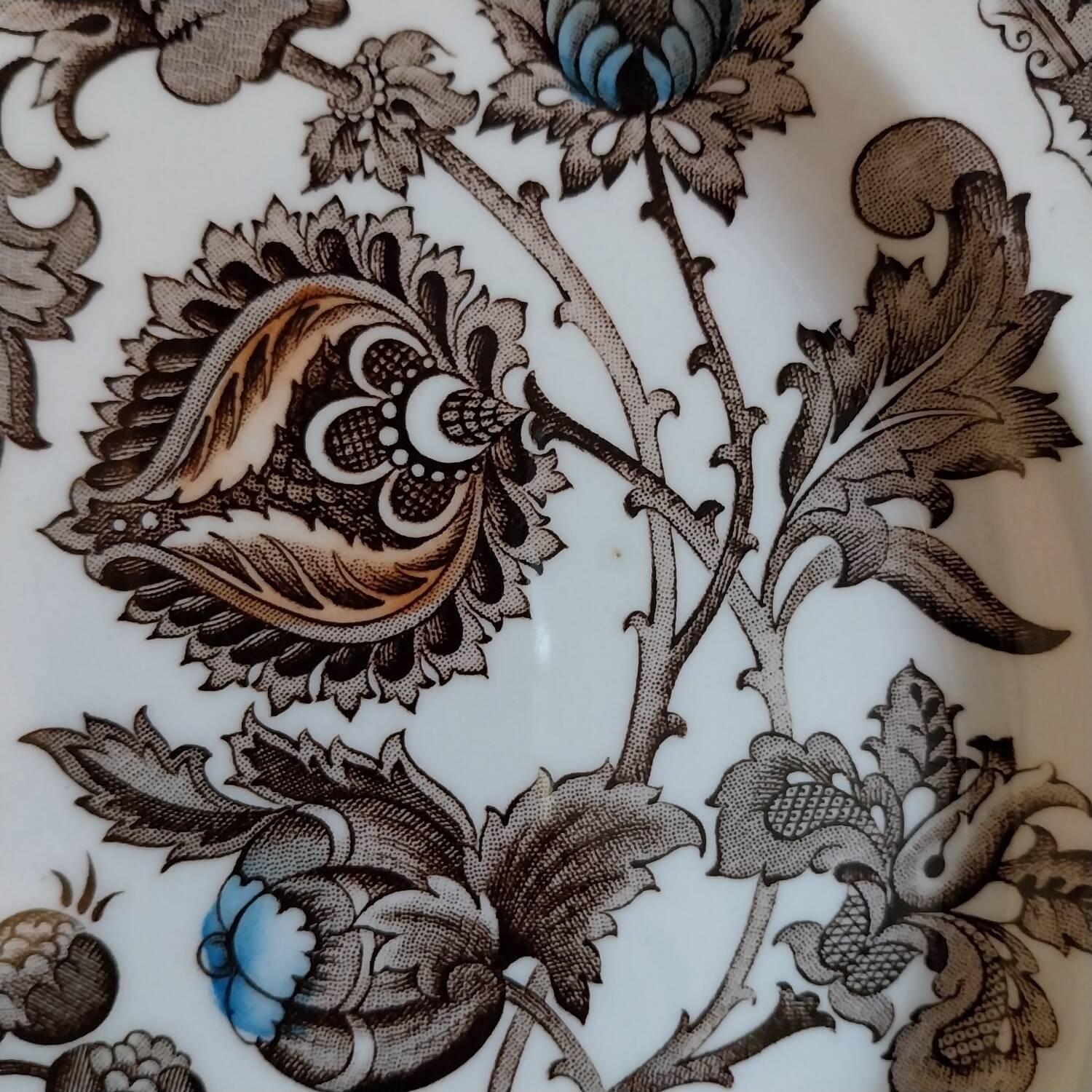Ridgway Jacobean pattern English dinner plates