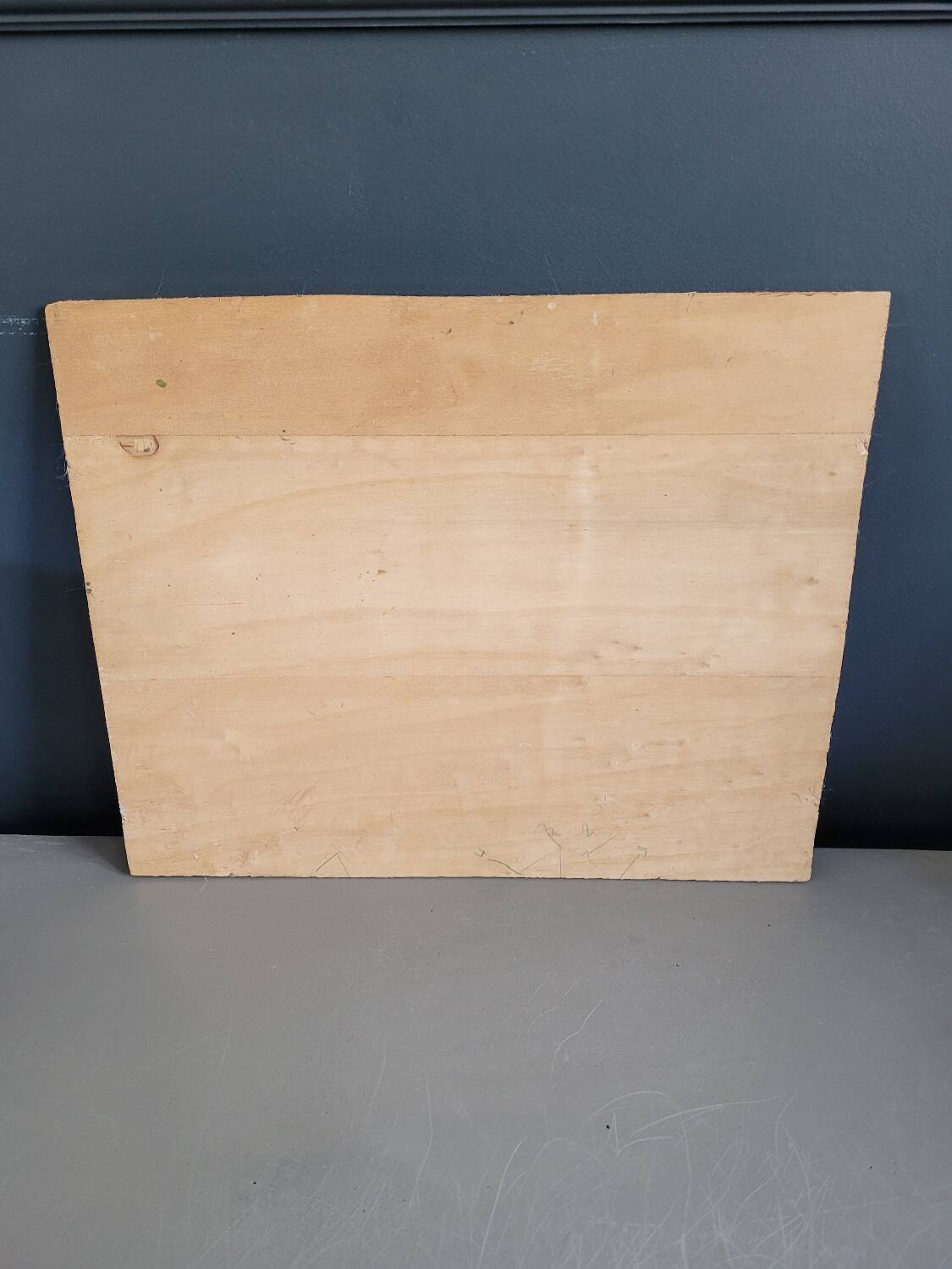 Oil on wood landscape signed Carl SIM