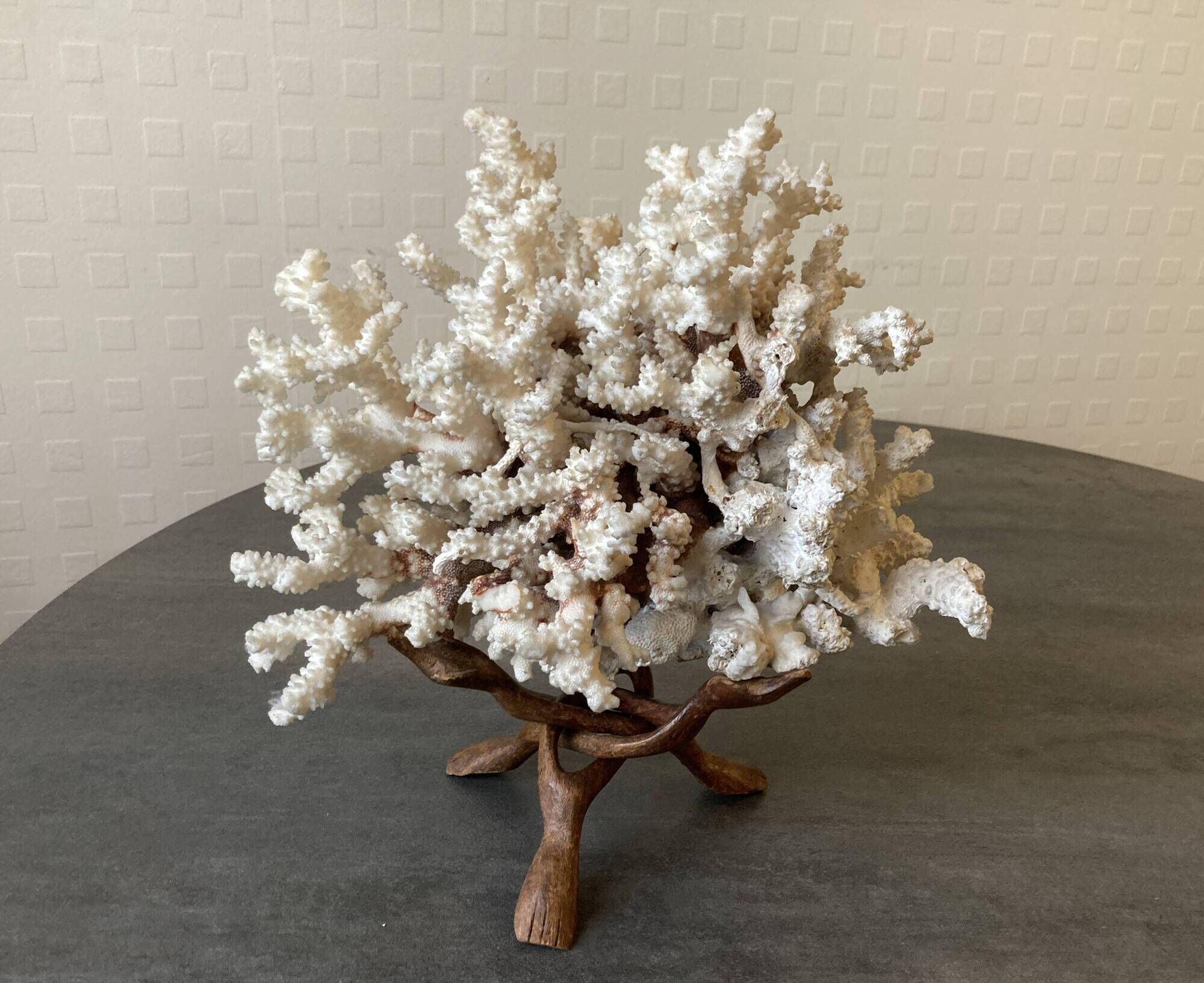 Corail blanc grand modèle 1960 sur bois sculpté