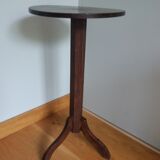 Tripod harness plant holder