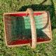 Retro Watermelon Basket
