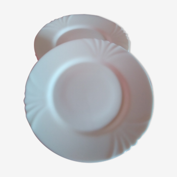 5 arcopal white plates