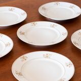 6 antique Bavarian porcelain plates by Seltmann Weiden