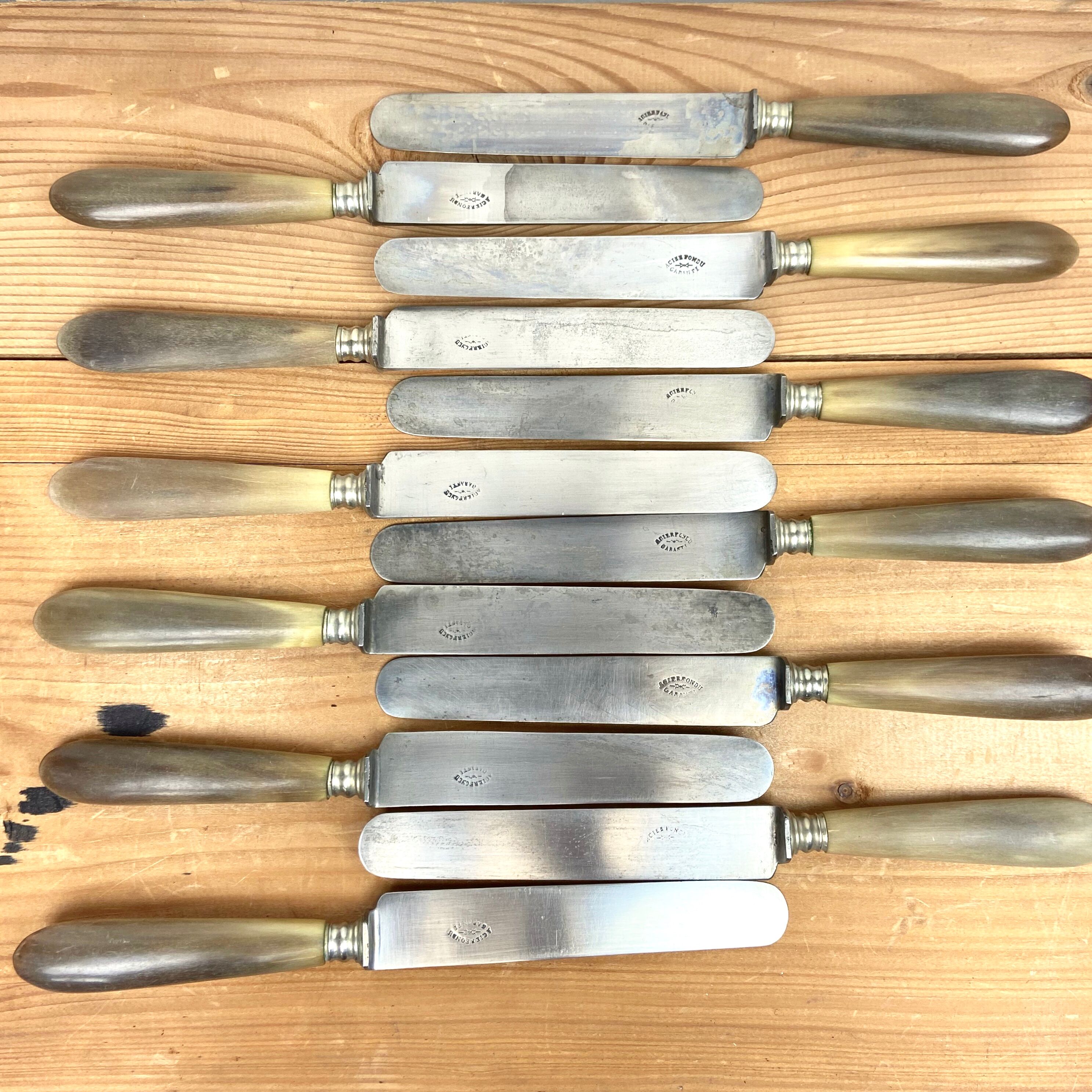Service Of 12 Table Knives - Blonde Horn Handle