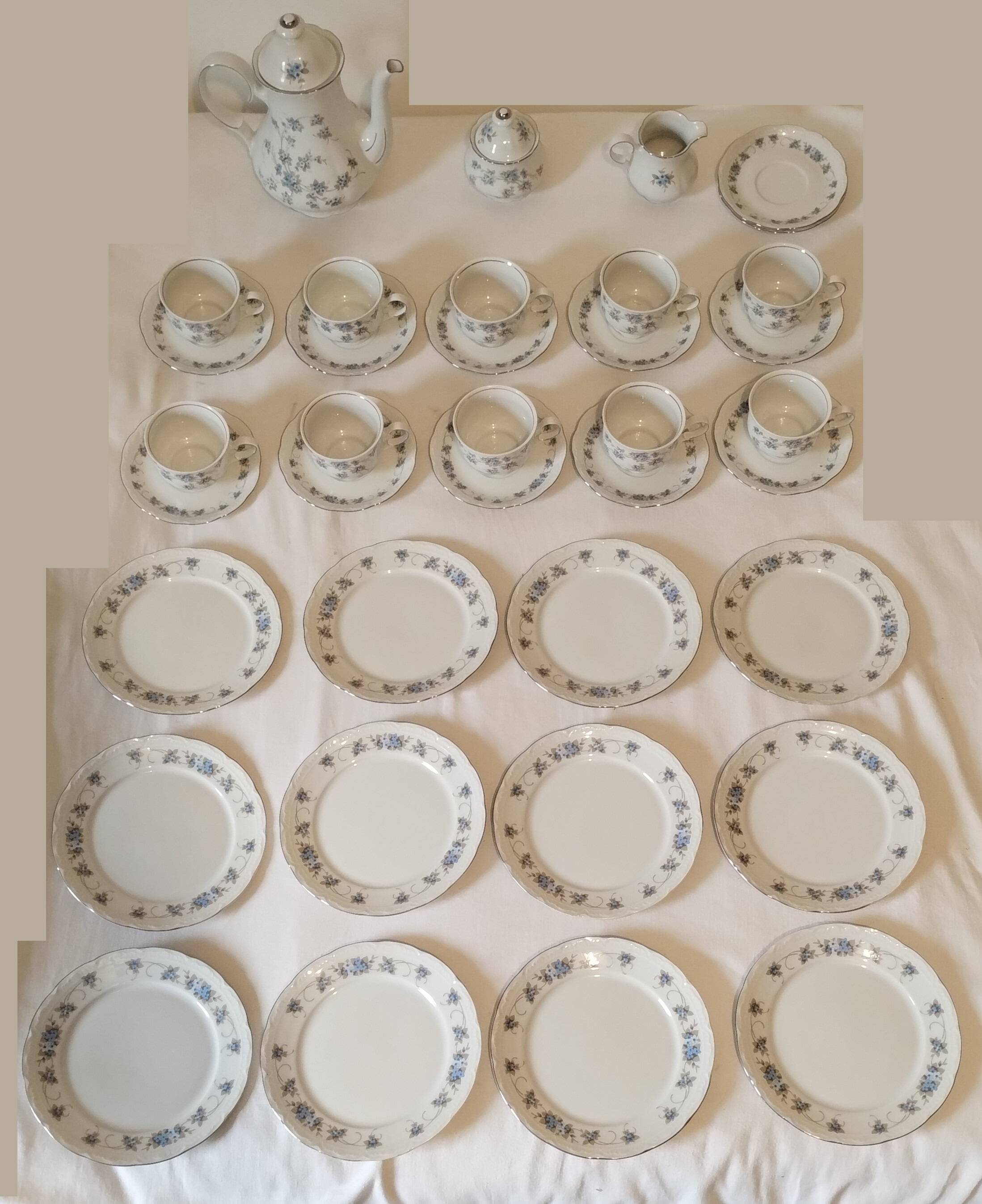 Mitterteich Bavaria Porcelain Coffee/Tea Set