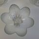 Set of 6 Bohemia Glass Flower Dessert Bowls, Czechoslovakia, circa 1960