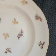 6 antique deep plates in porcelain