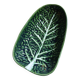Plat creux en barbotine feuille de chou