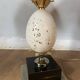 Pair of designer ostrich egg lamps in travertine from maison barbier