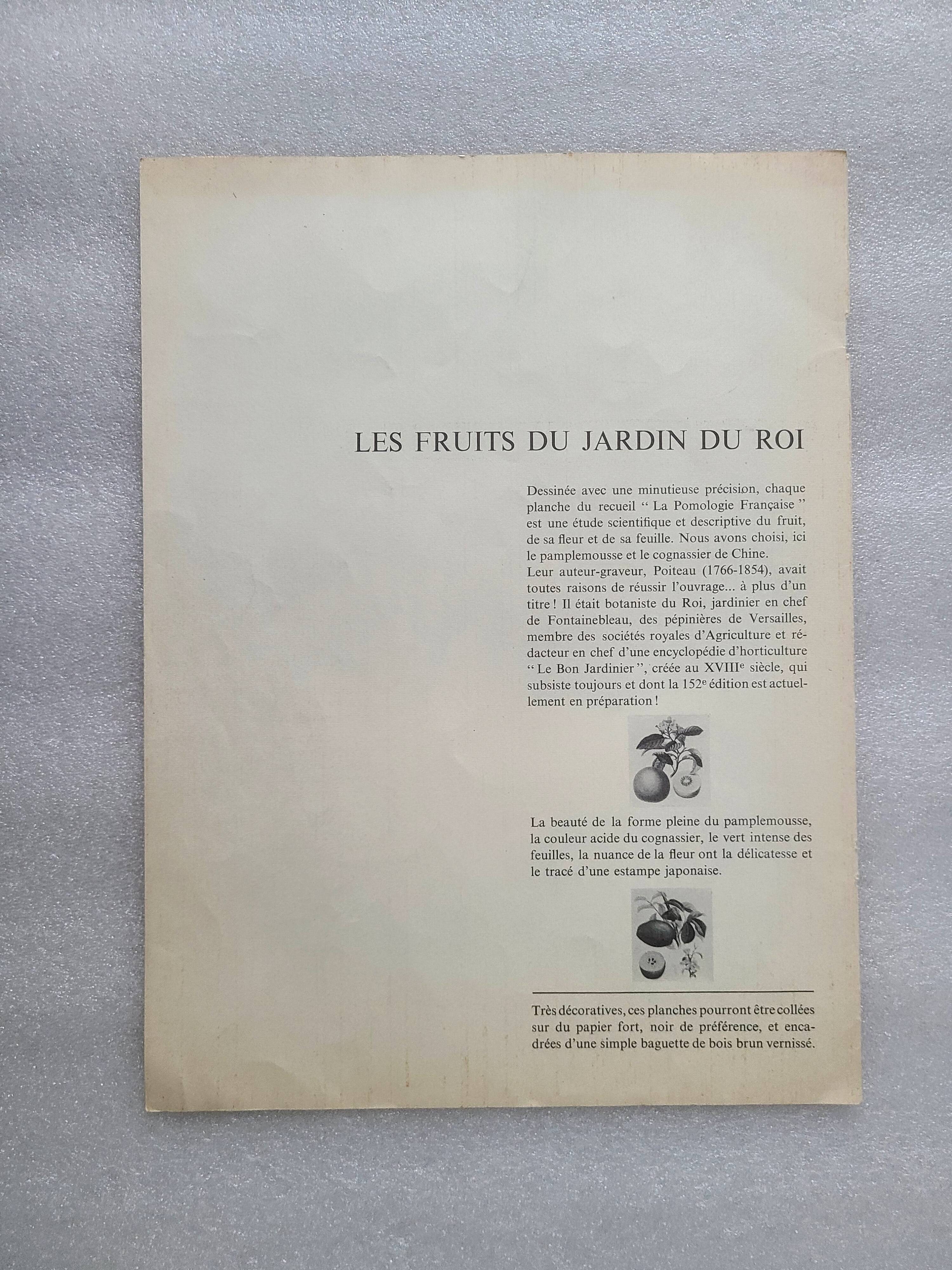 Posters The fruits of the king's garden and the fruits of autumn