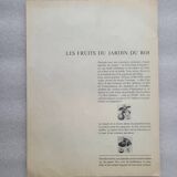 Posters The fruits of the king's garden and the fruits of autumn