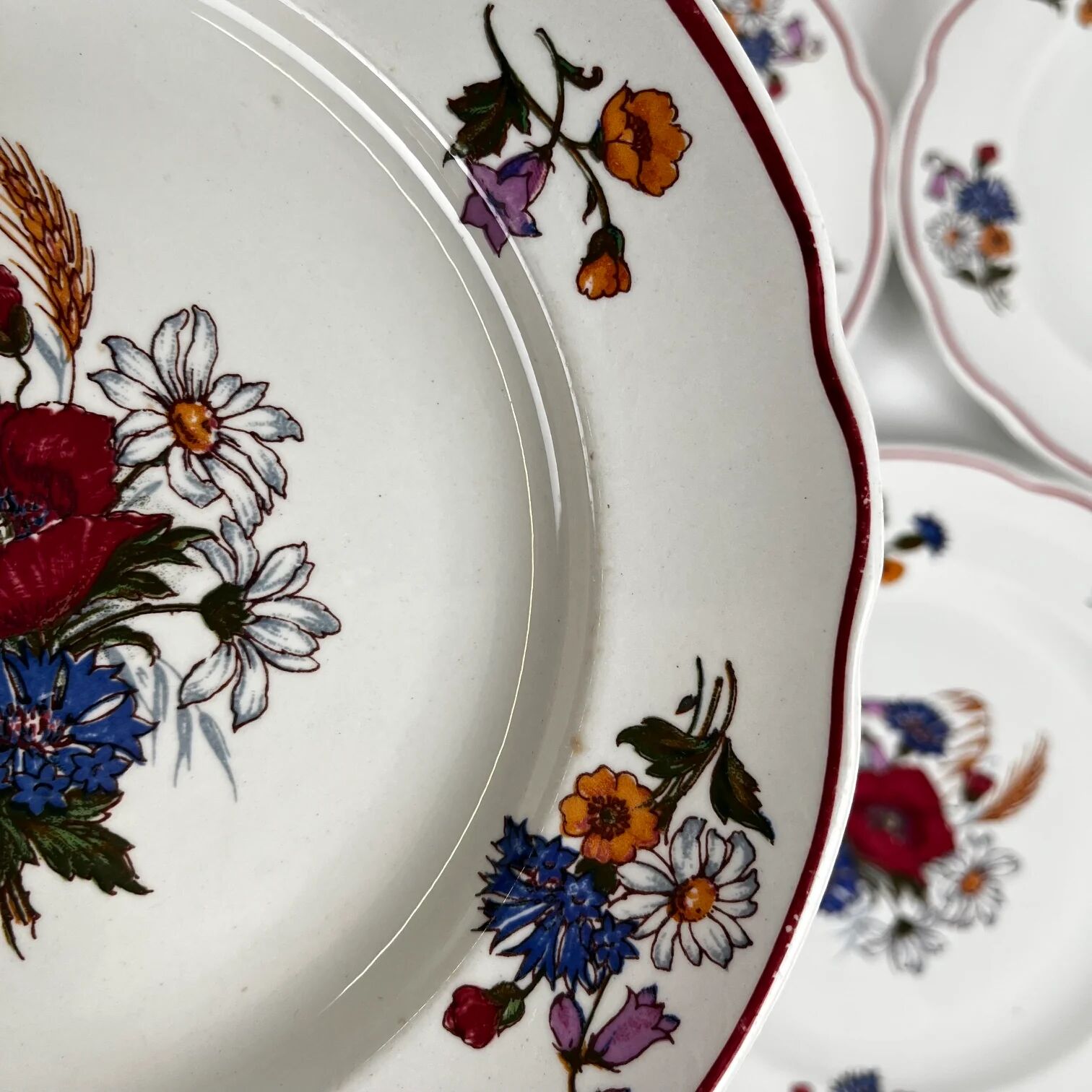 Set of 6 flat plates "Agreste", Sarreguemines, late 20th century, Pyroblan