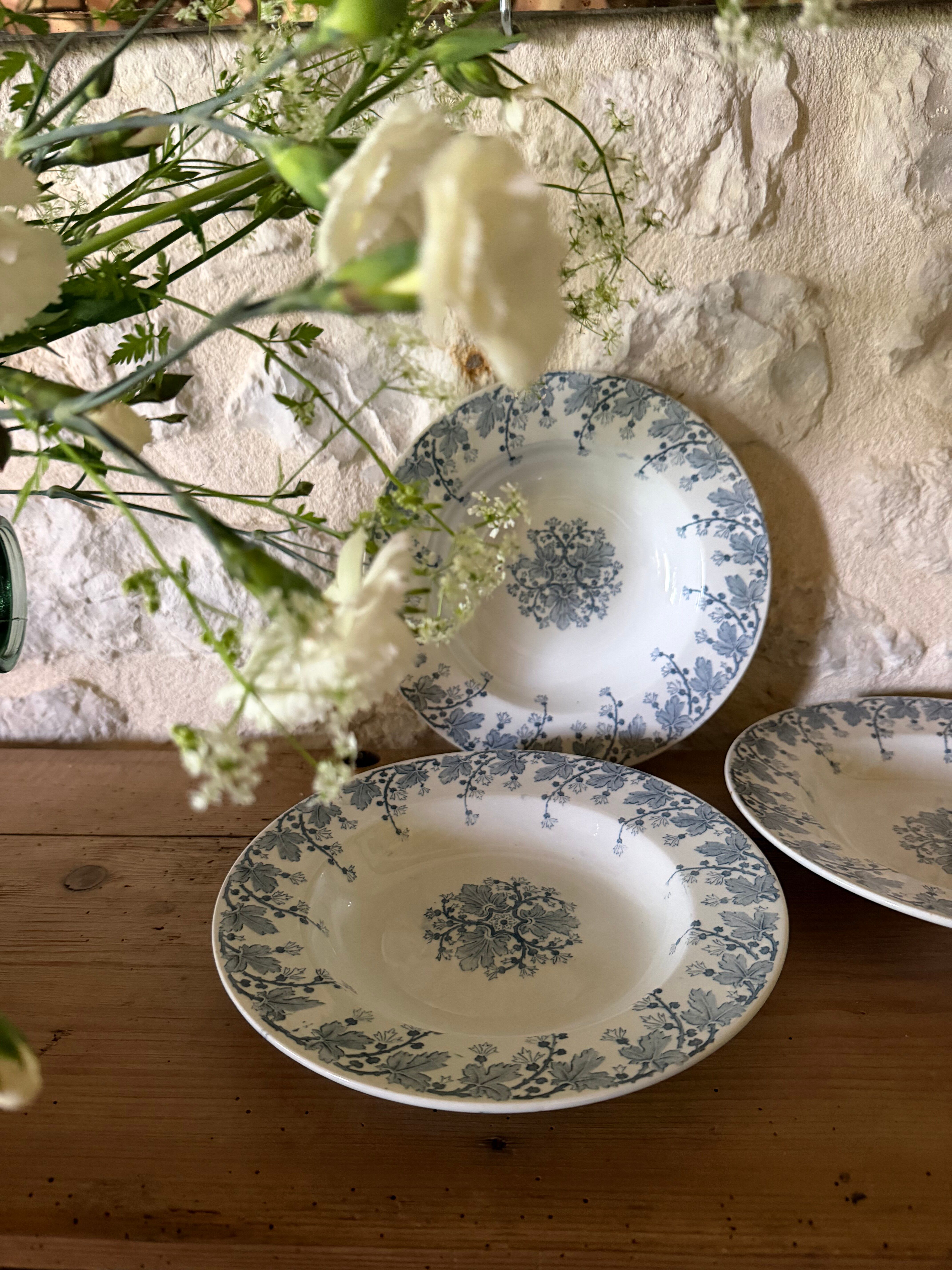 Deep plates KG Luneville model Neva in ironstone