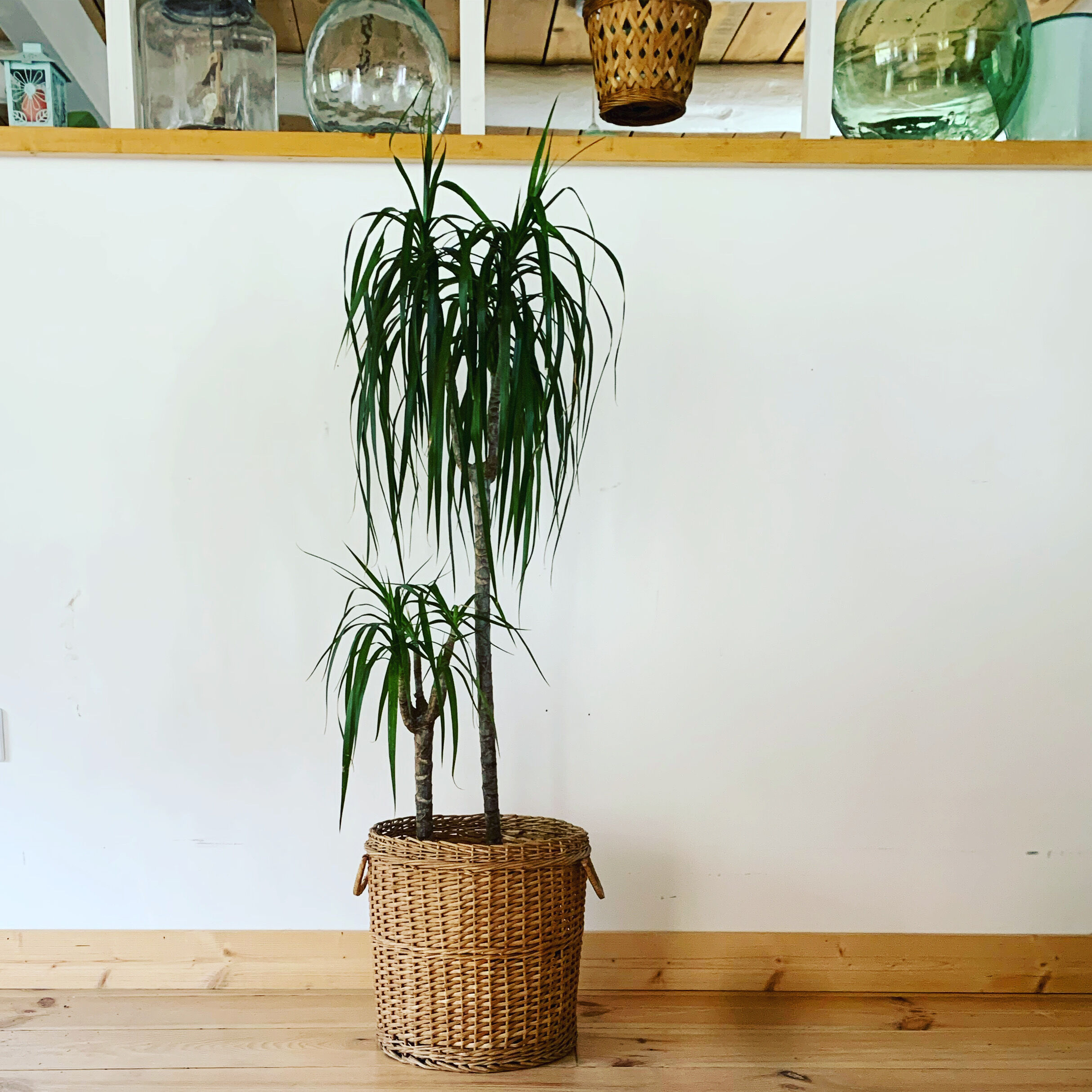 Vintage wicker pot cover