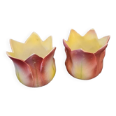 Pair of art nouveau plants signed delphin massier vallauris