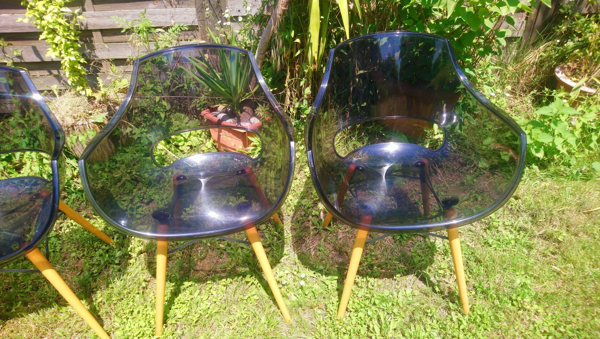 Lot of Opal Wox grey smoke chairs with beech legs.
