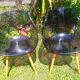Lot of Opal Wox grey smoke chairs with beech legs.