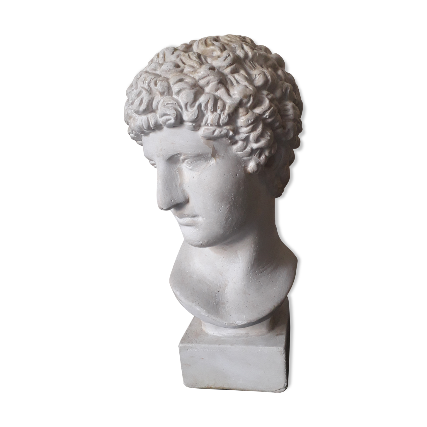 Bust plaster Apollo XIX th