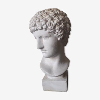 Buste plâtre Apollon  XIX ème