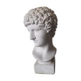 Bust plaster Apollo XIX th