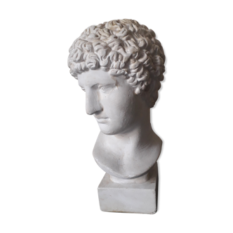 Buste plâtre Apollon  XIX ème