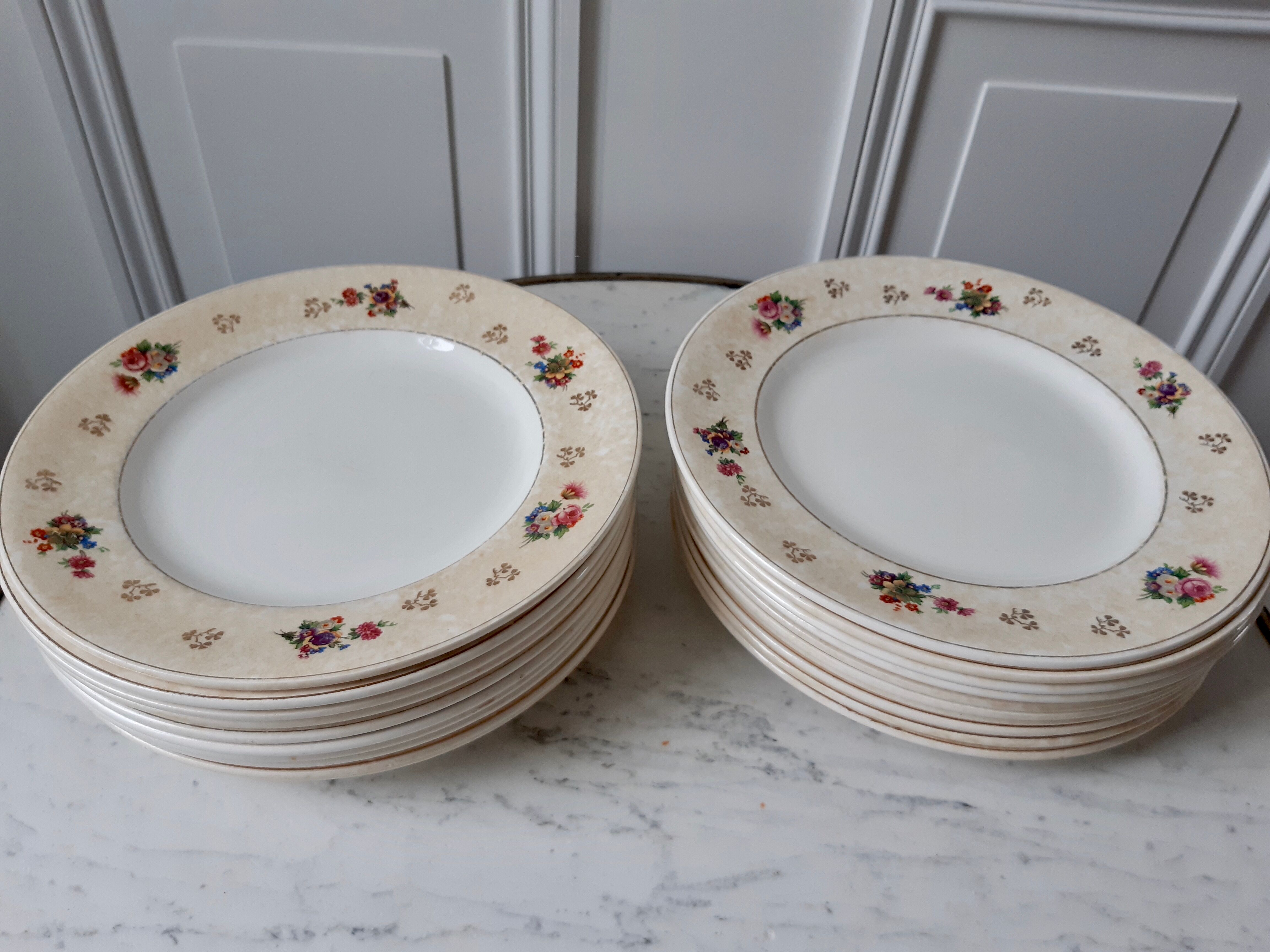 Lot de 10 assiettes plates Salins modèle Simone