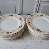 Lot of 10 flat plates Salins model Simone