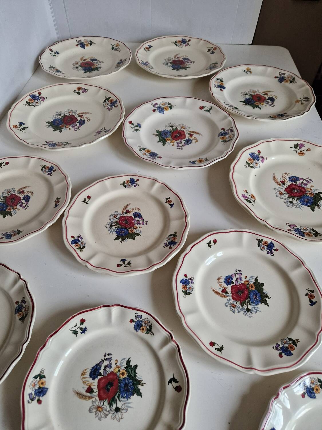 Set of 12 Sarreguemines Plates, Agreste Models