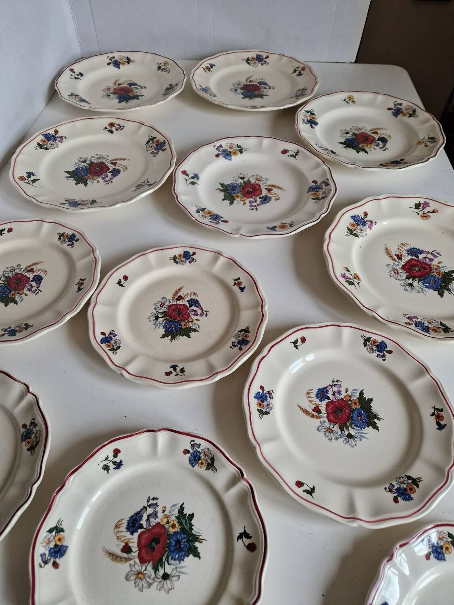 Set of 12 Sarreguemines Plates, Agreste Models