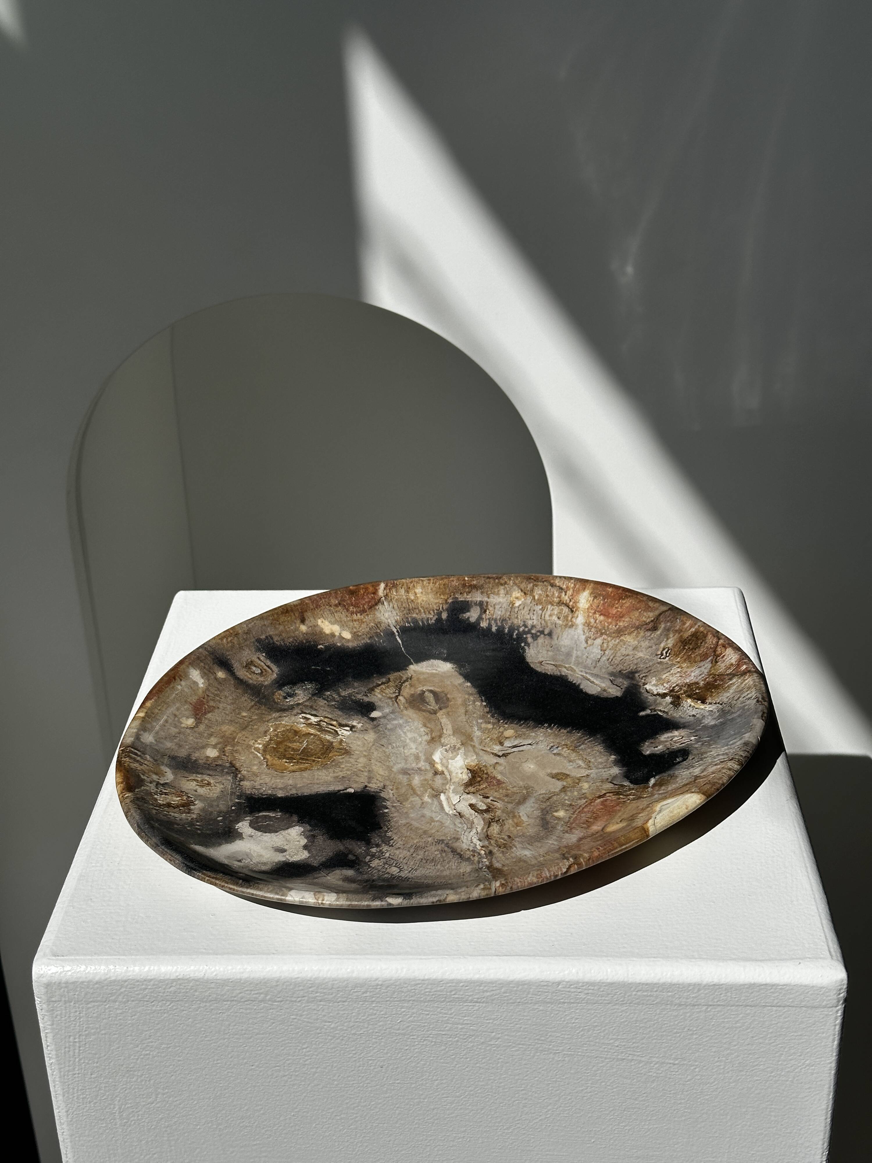 Large empty pocket or dish in petrified wood