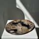 Large empty pocket or dish in petrified wood