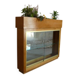 illuminated planter display case from the 1950s