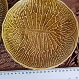 Plates Gien lotus flowers