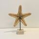 XXL Vintage Natural Starfish on Marble Base Cabinet of Curiosities