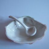 Saucière seashell in dabbling