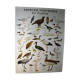 Poster species protected in France