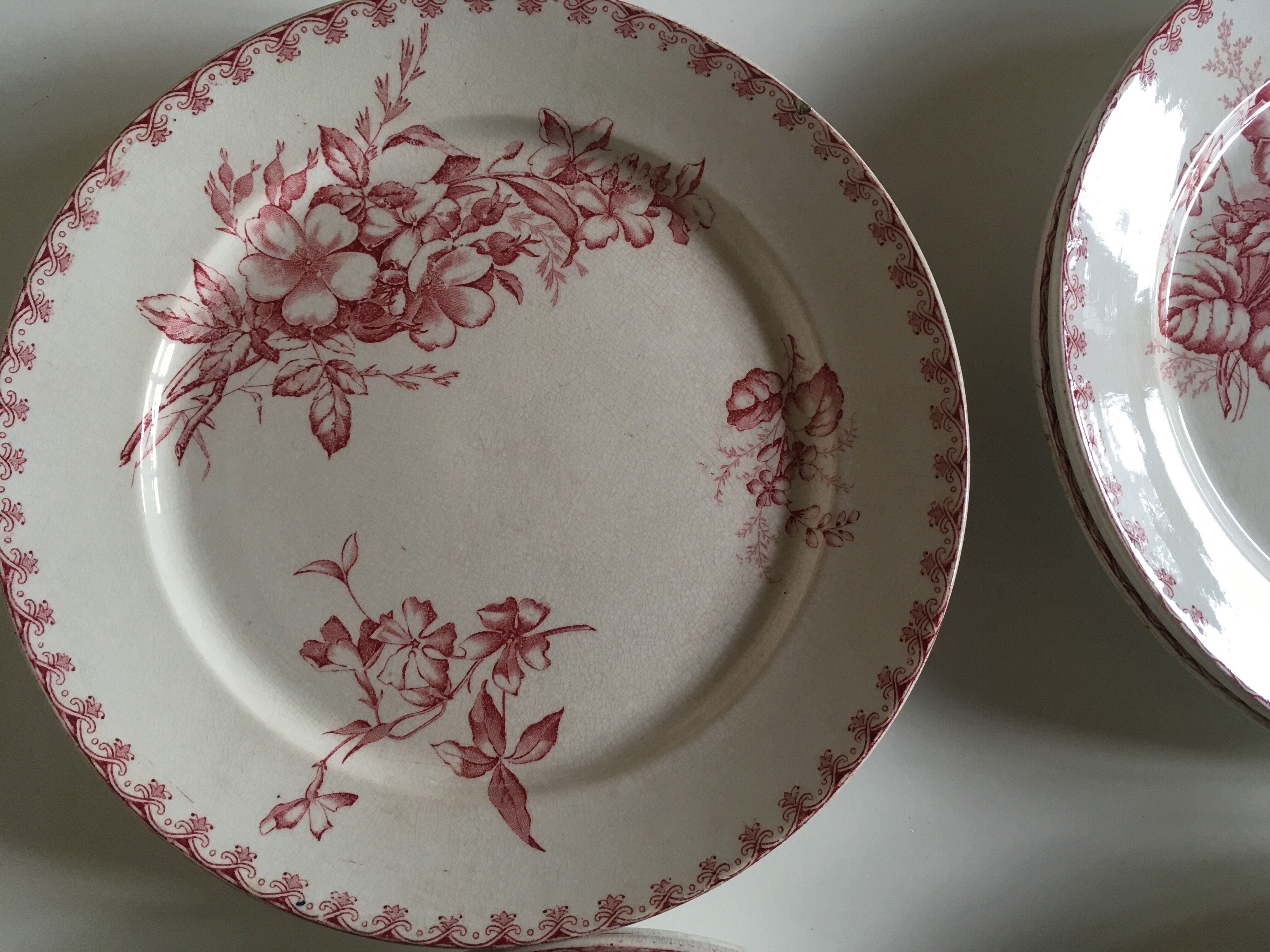 Set of 12 dinner plates of Sarreguemines land of iron décor Vega early 20th