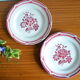 Lot de 2 assiettes Digoin et Sarreguemine, collection cevennes