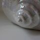 Large iridescent barbotine shell bowl, Italy vintage