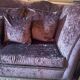 Purple velvet sofa