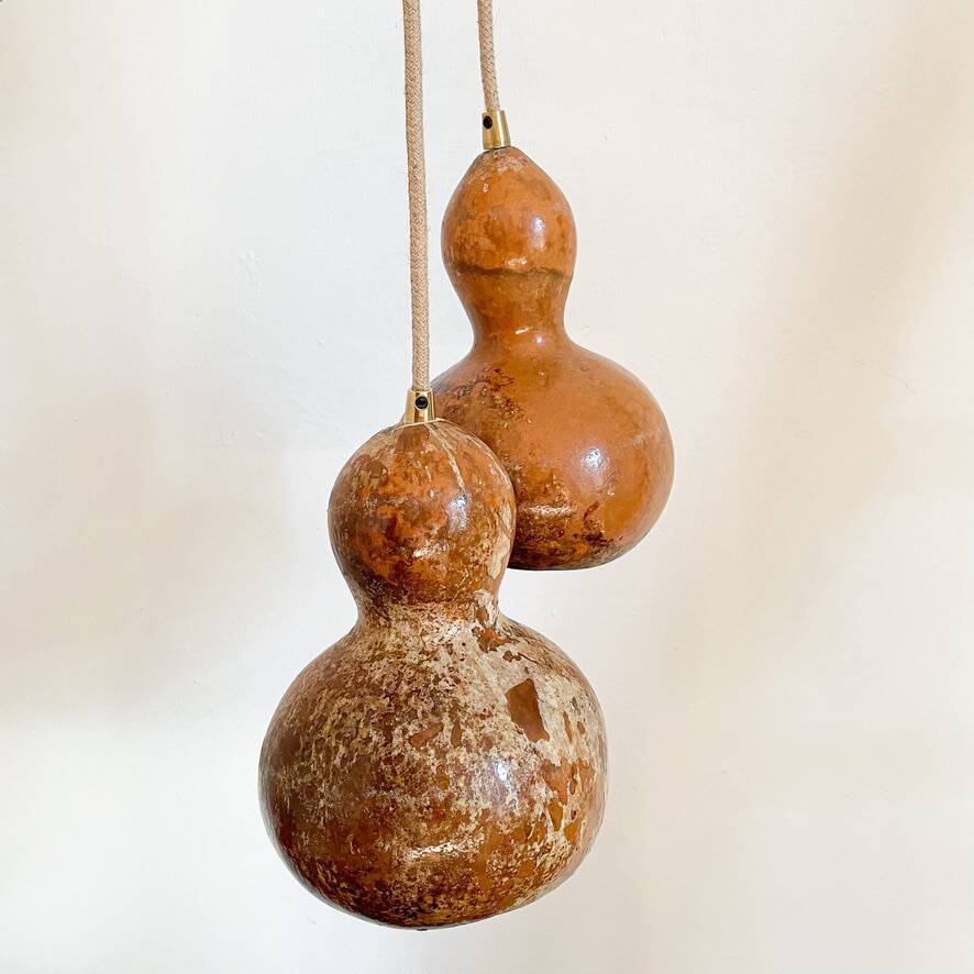 Calabash plant lamp