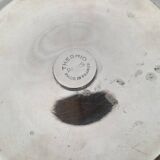 Thermid silver metal tomato ice bucket